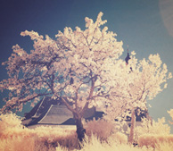 打爆别人短信的软件